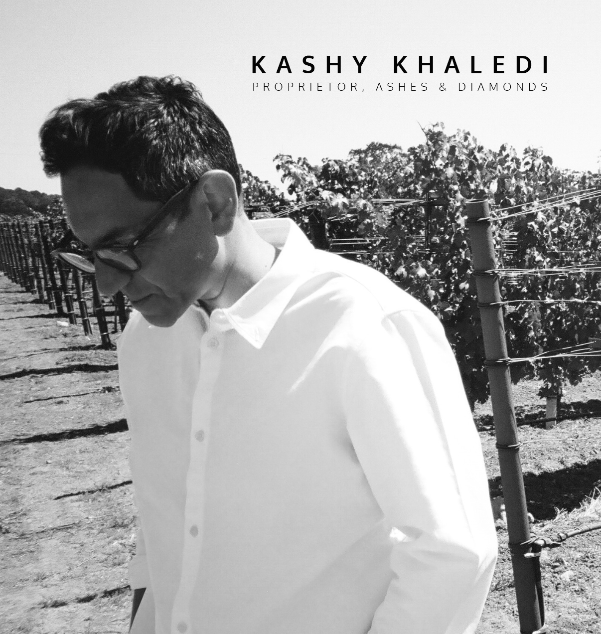 KASHY KHALEDI